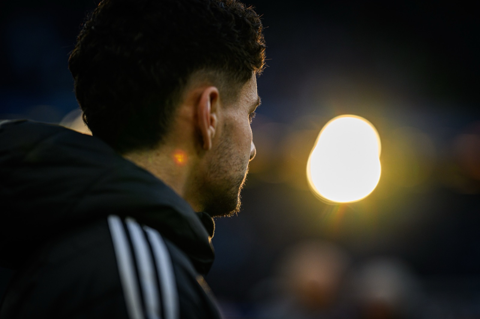 Sport-Fotografie: Fußball - Hamburger SV - VfB Stuttgart