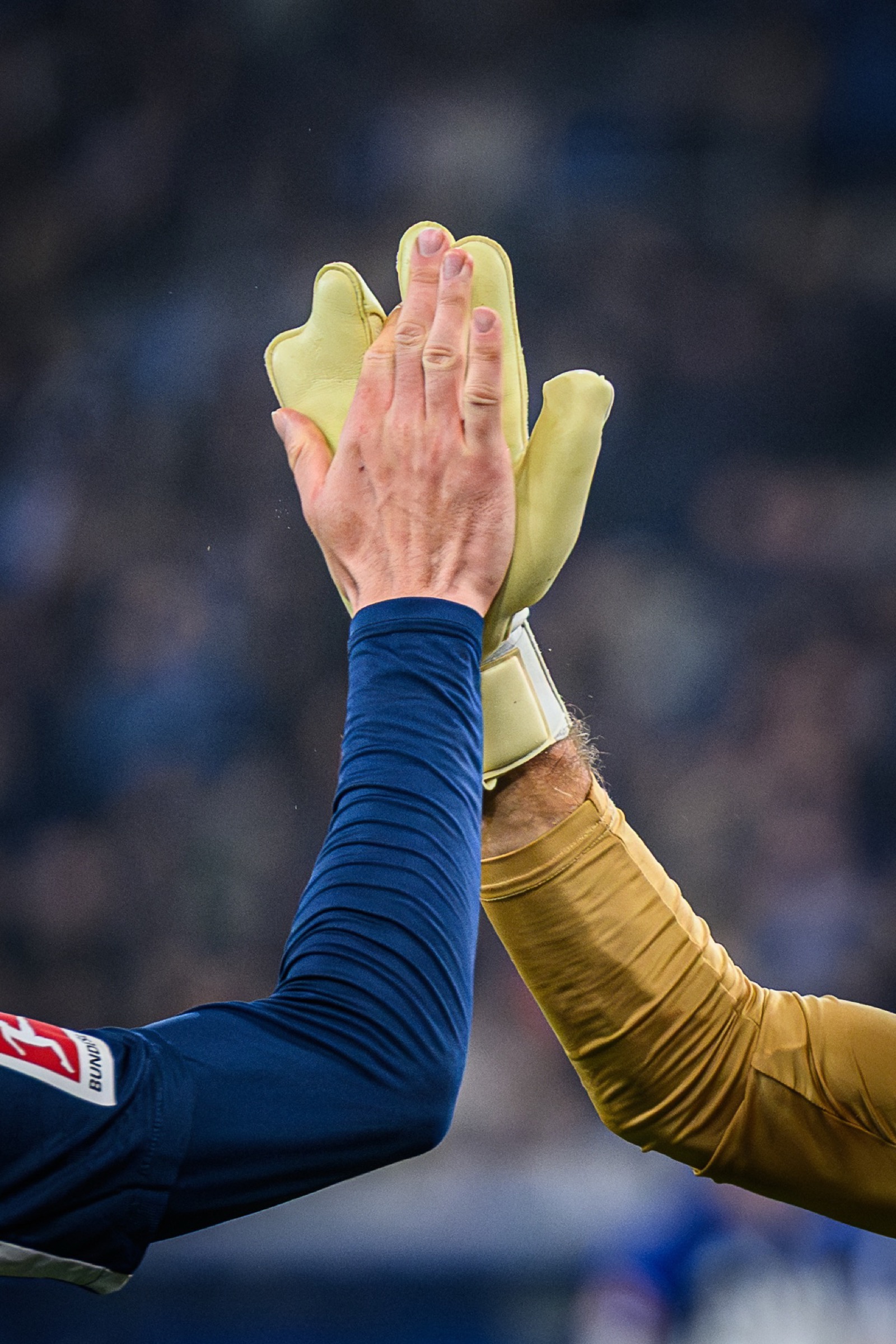 Sport-Fotografie: Fußball - TSG 1899 Hoffenheim - Hamburger SV
