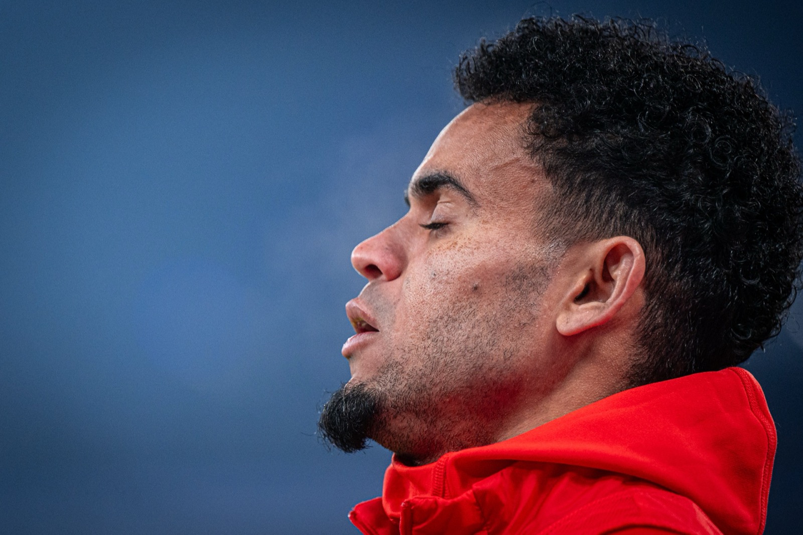 Sport-Fotografie: Fußball - Hamburger SV - FC Bayern München