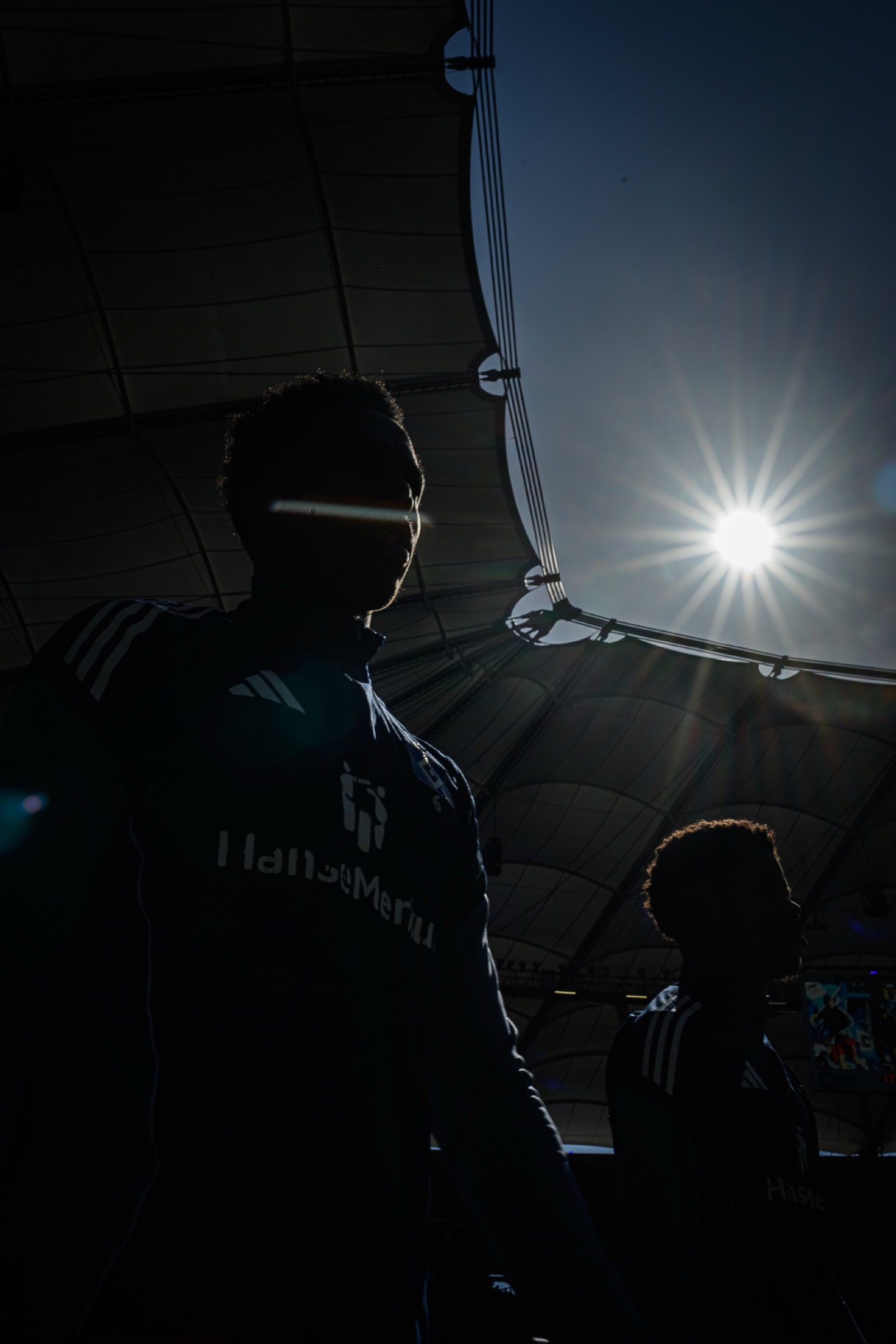 Sport-Fotografie: Fußball - Hamburger SV - FC Augsburg