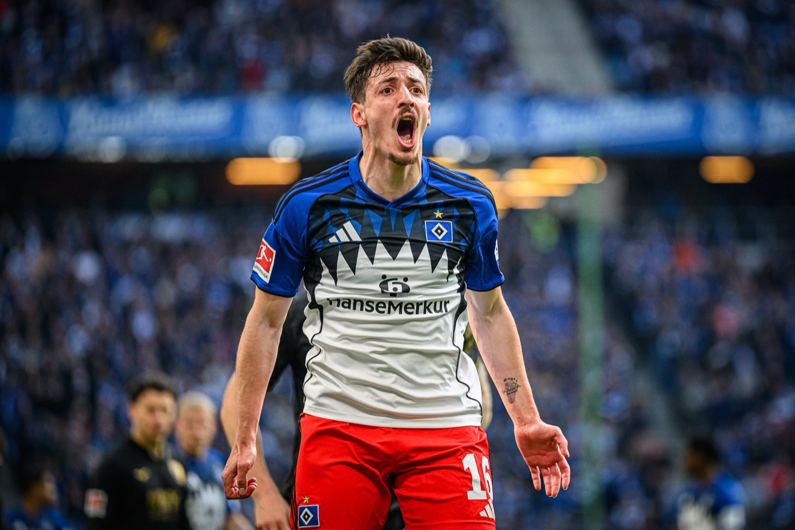 Sport-Fotografie: Fußball - Hamburger SV - FC Augsburg