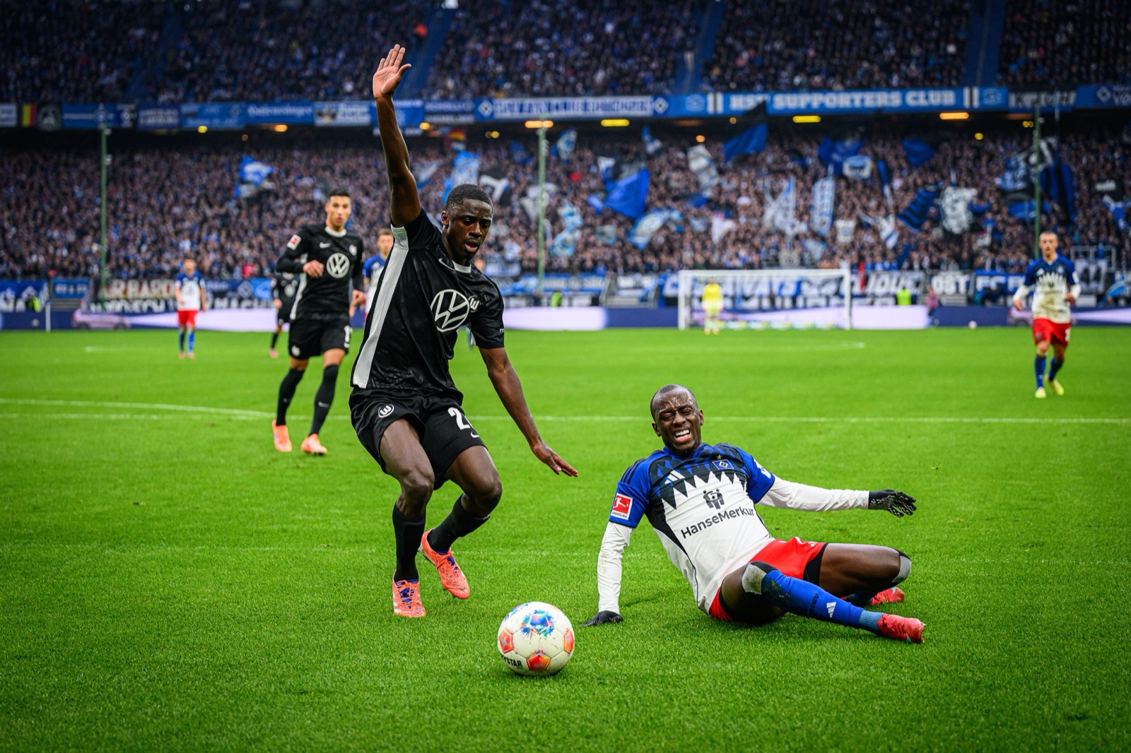 Sport-Fotografie: Fußball - Hamburger SV - VfL Wolfsburg