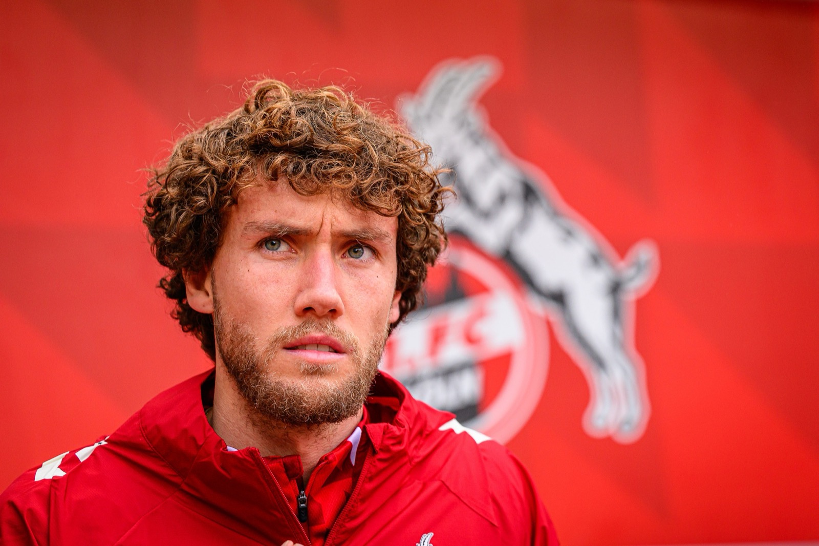 Sport-Fotografie: Fußball - 1. FC Köln - Hamburger SV